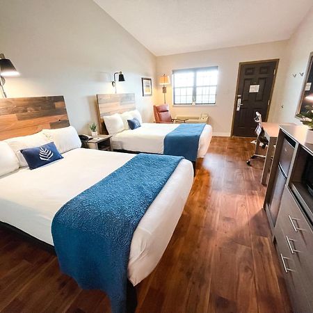 บัดเจ็ต ลอดจิ้ง เซนต์แคลร์ Hotel Saint Clair ภายนอก รูปภาพ